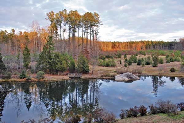 De-Hart-Botanical-Gardens