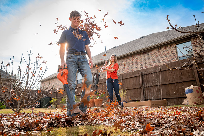electric leaf blower