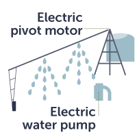 Electric Water Pump