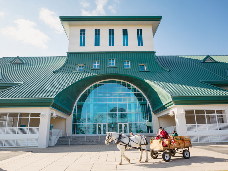 Museum of the Albemarle