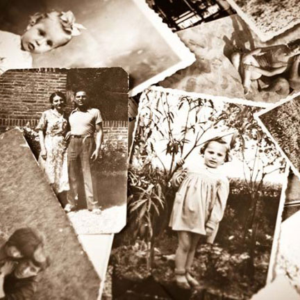 Family roots squ