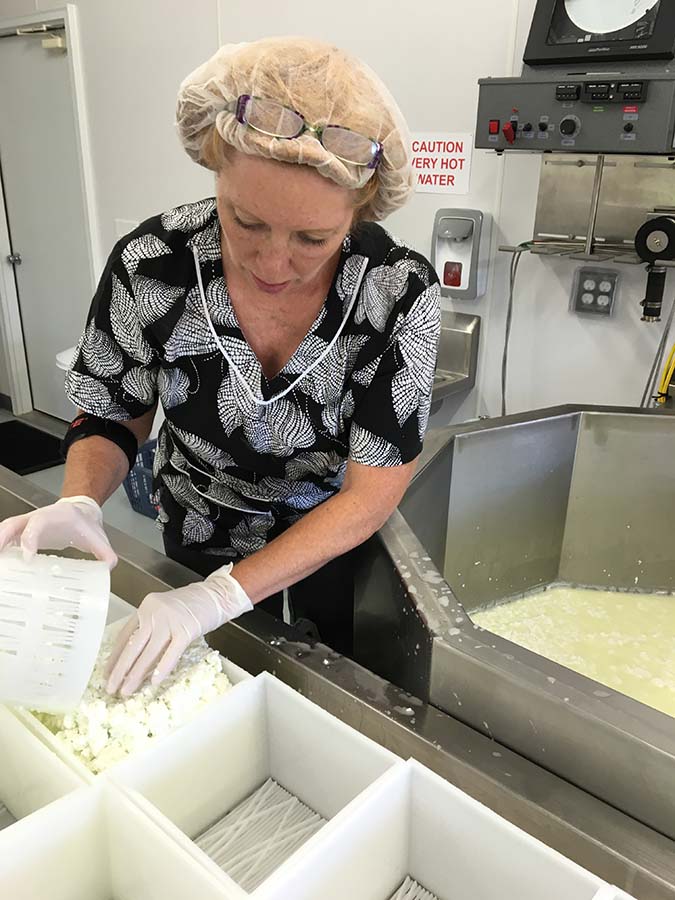 Fay cuts the cheese curds
