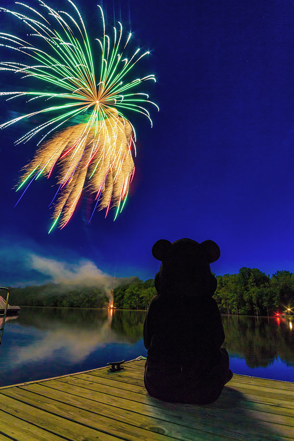 Fireworks by Matthew Molt 1