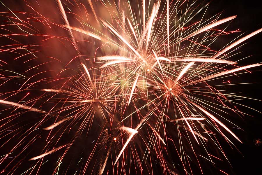 Fireworks in the night sky