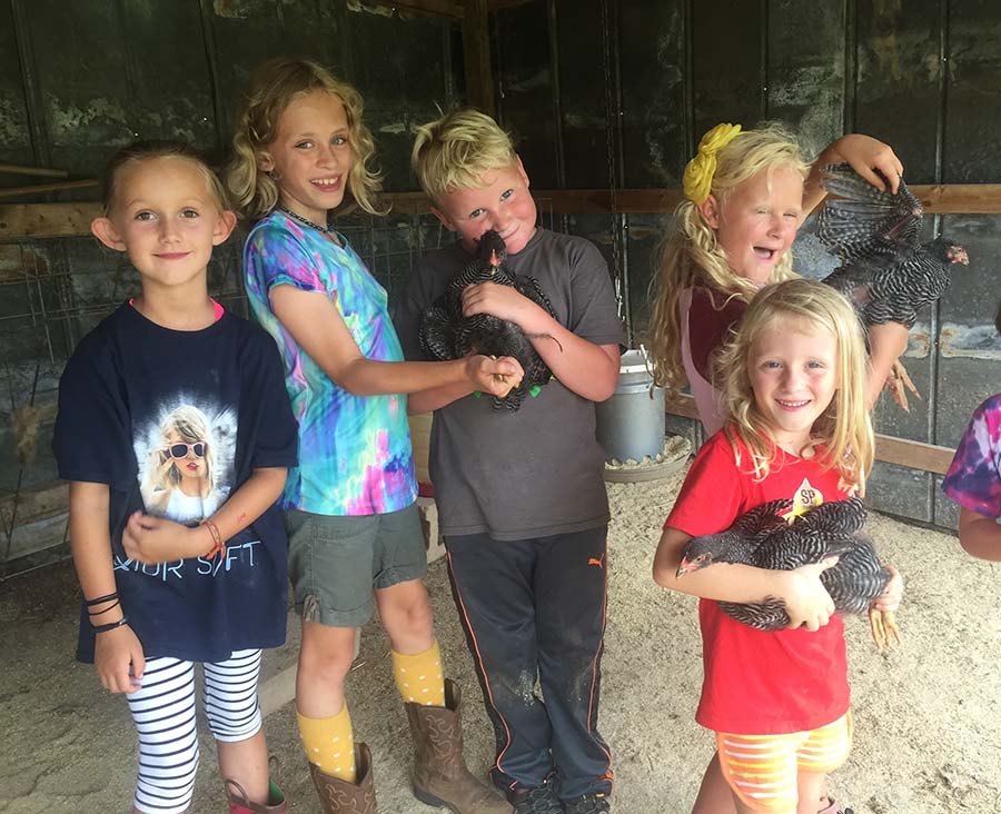 Frannys Farm