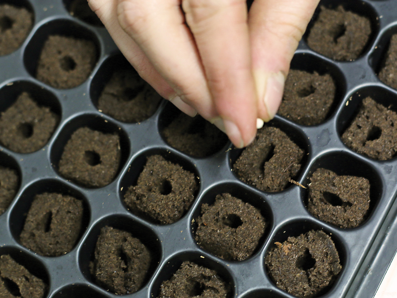 Planting Seeds Freight Farms