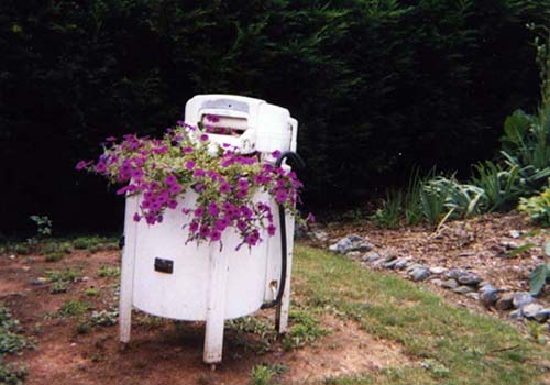 Great-Gardens-NC-fairy-garden