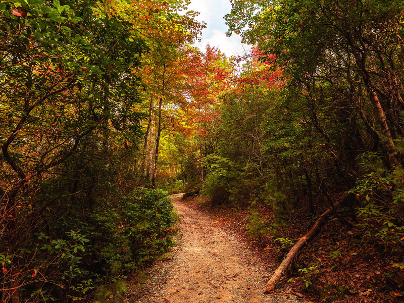 Gorges Rainbow Falls Trail