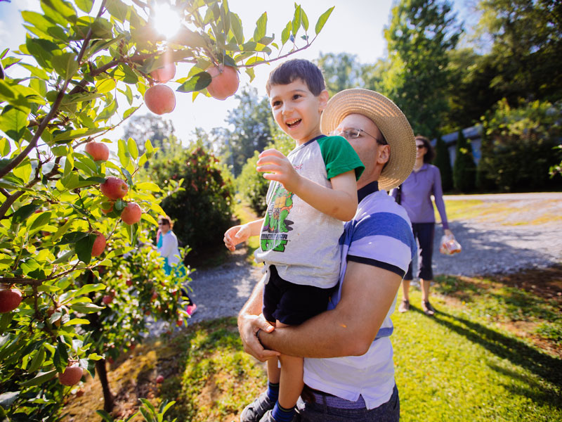 Grandad's Apples N' Such