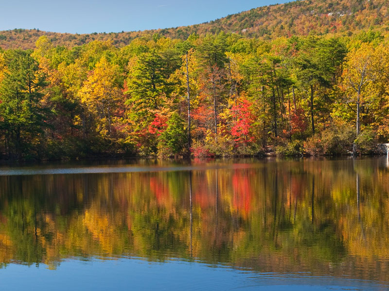 Hanging Rock Fall Foliage
