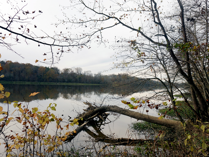 Haw River