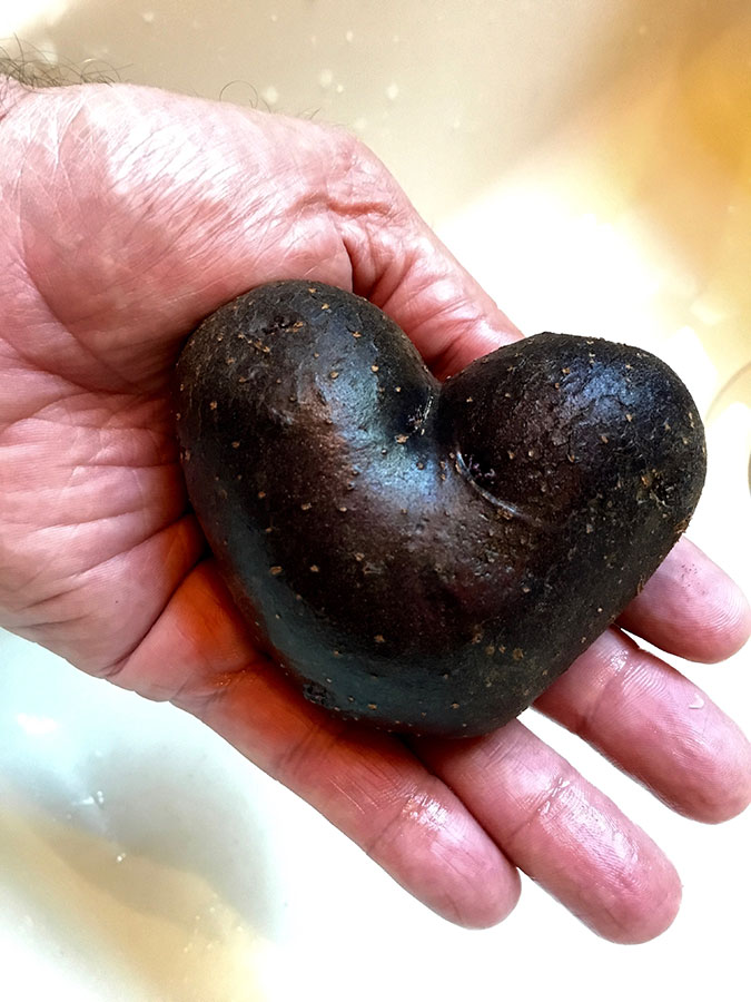 Purple Heart 