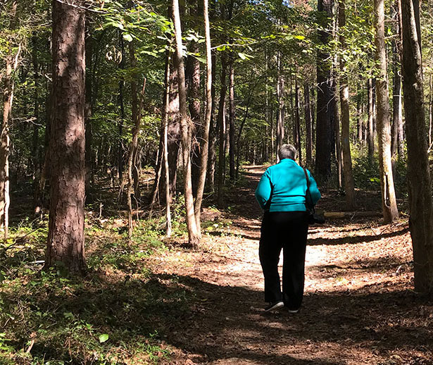 Hiking trail at Medoc Mountain State Park