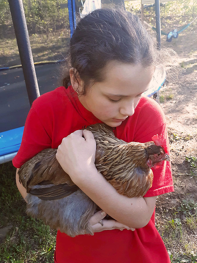 Chicken