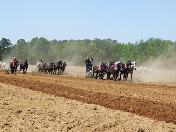 Indian-Ridge-2012-029