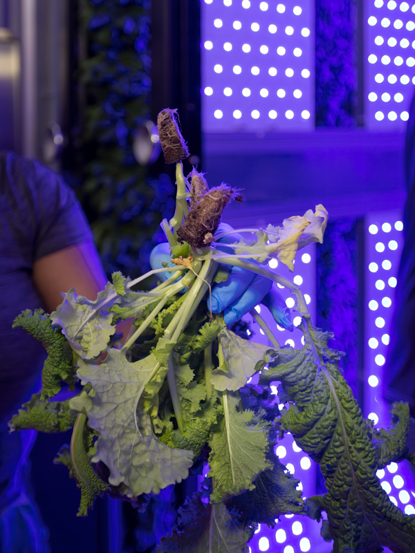 Container Farm