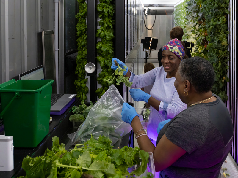 James Sprunt Farm Student packing produce