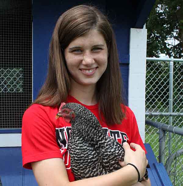 JonesOnslow Chickens