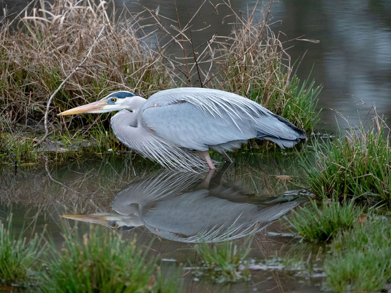 Photo by Joyce McBriarty