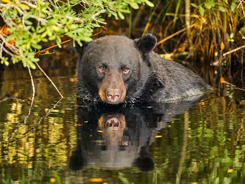 Photo by Kenneth Vaughn