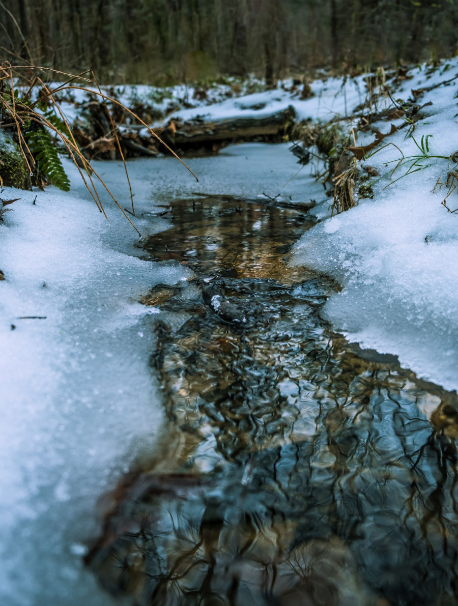 Kyle Bass 2022 Icy Reflection