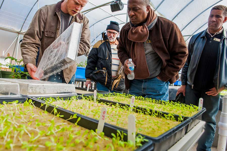 Lucky Clay Farm greenhouse