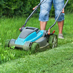 MI Man cutting the grass with a lawn mower