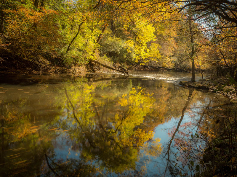 Medoc Mountain Little Fishing Creek