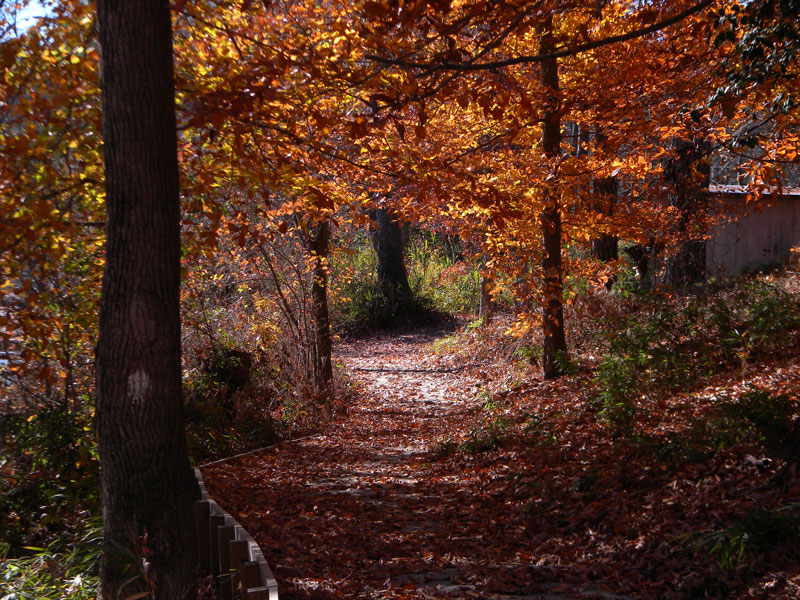 Merchants Millpond Trail