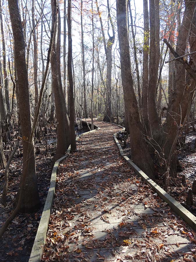 Merchants millpond trail
