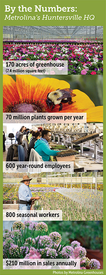 Metrolina Greenhouses By the Numbers