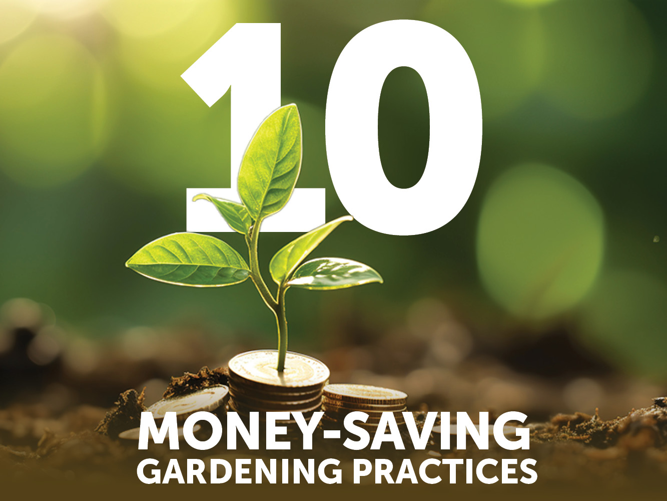 10 money-saving gardening practices