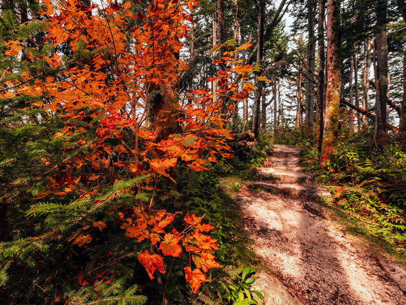 Mount Mitchell