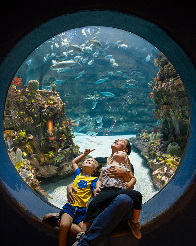 NC Aquarium at Fort Fisher