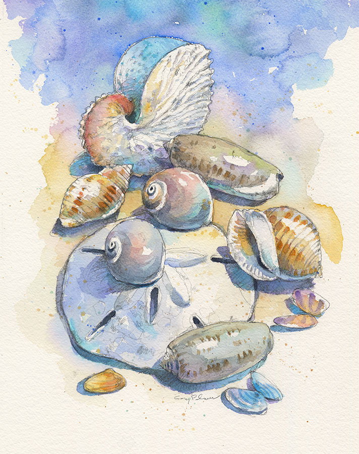 NC shells