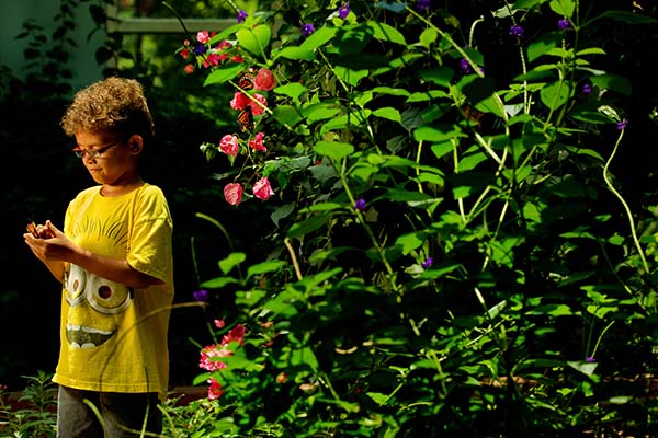 Nature Museum 073