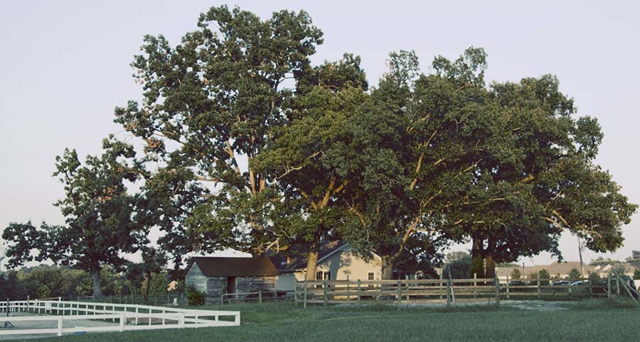 New CORRAL house