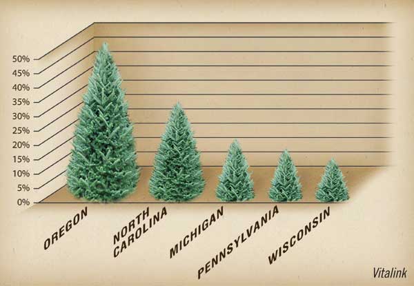 North-Carolina-number-two-producer-of-cut-christmas-trees