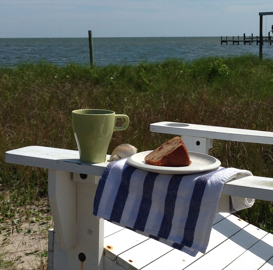 PamlicoSoundfigcake