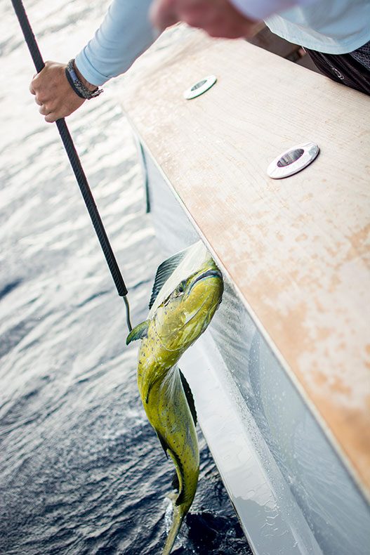 Jarrett Bay boat