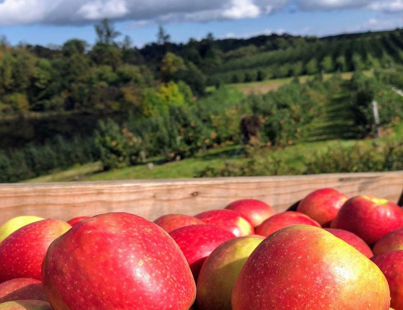 Perry Lowe Orchards
