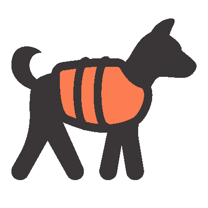 Pey Life Jacket