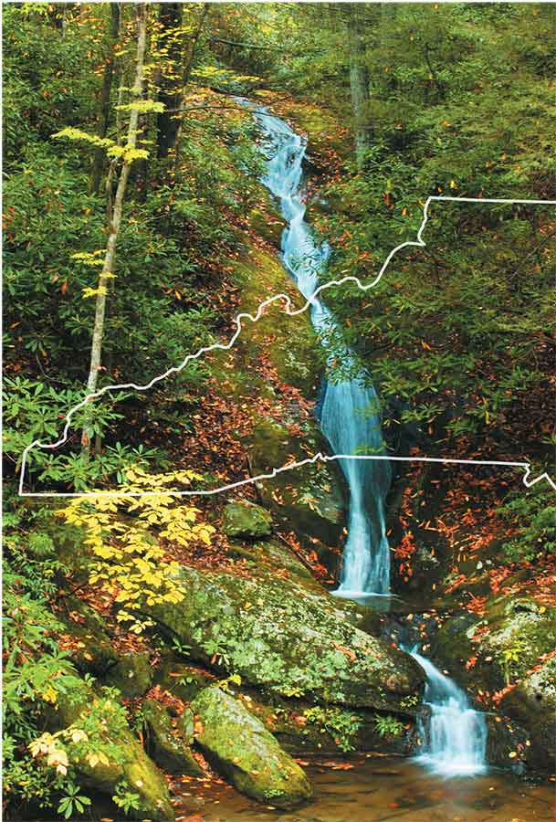 Pisgah National Forest