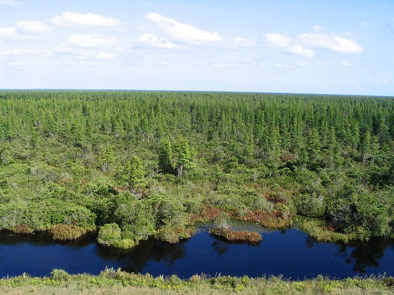 Picosin Lakes National Wildlife Reduge
