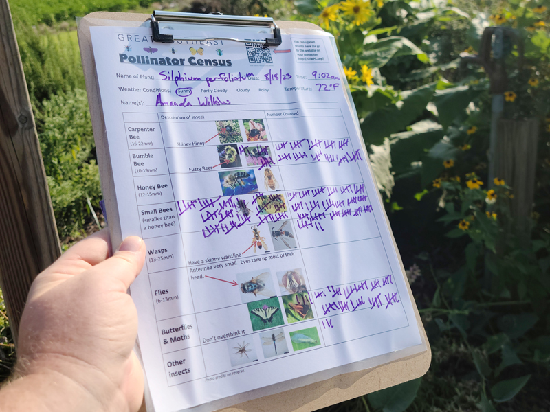 Pollinator Census Clipboard