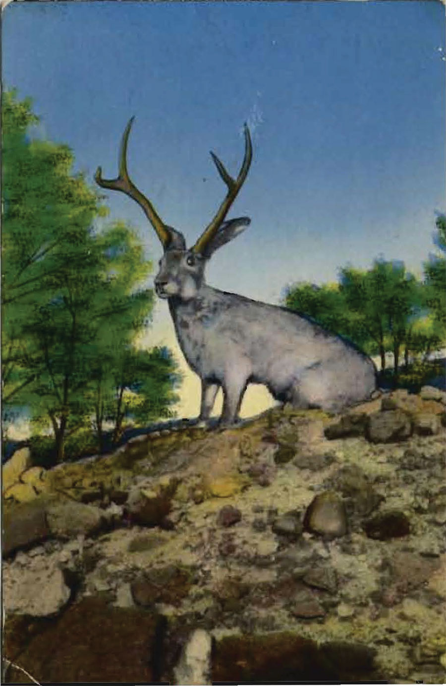 Postcard FRONT
