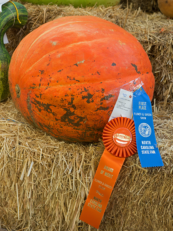 Pumpkin at State Fair