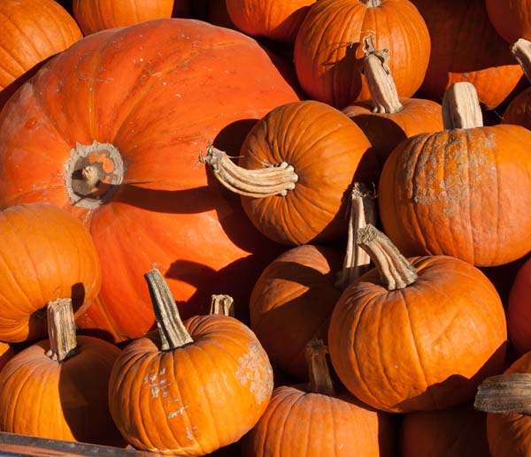 Pumpkins
