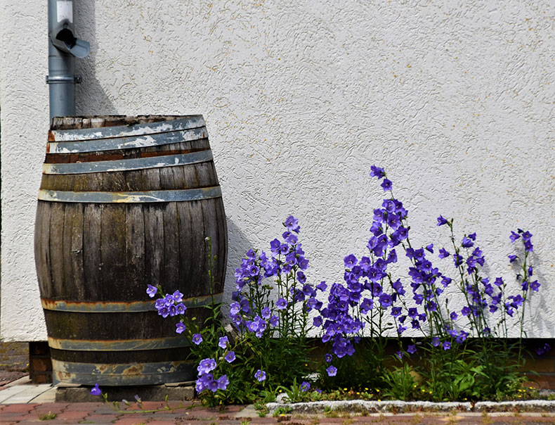 Rain barrel