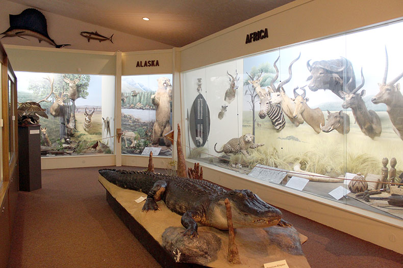 Rankin exhibit